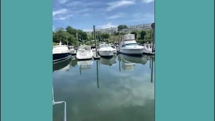Thumbnail image for Calling Alll Kids Boats. July 2026